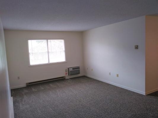 Living Room with 2 big windows to let in the light